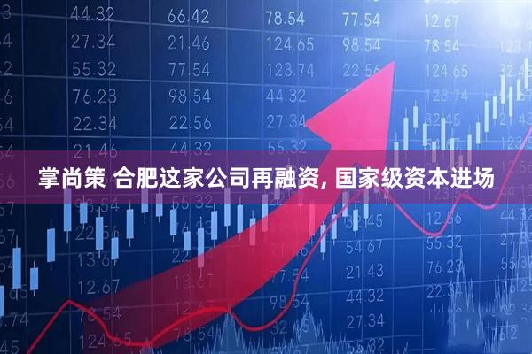 掌尚策 合肥这家公司再融资, 国家级资本进场
