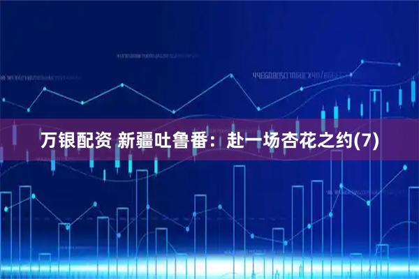 万银配资 新疆吐鲁番：赴一场杏花之约(7)