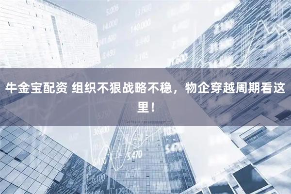 牛金宝配资 组织不狠战略不稳，物企穿越周期看这里！