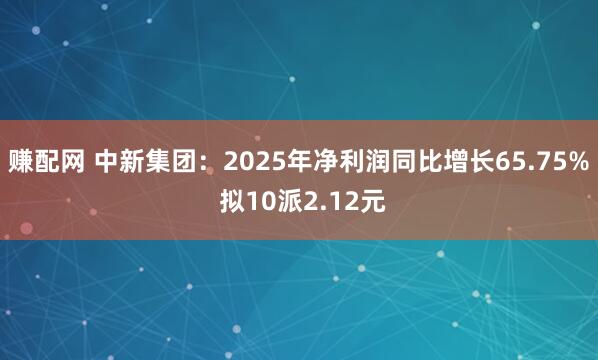 赚配网 中新集团：2025年净利润同比增长65.75% 拟10派2.12元