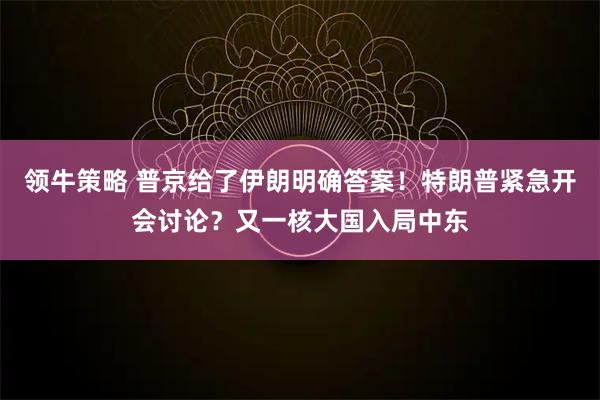 领牛策略 普京给了伊朗明确答案!特朗普紧急开会讨论?又一核大国入局中东