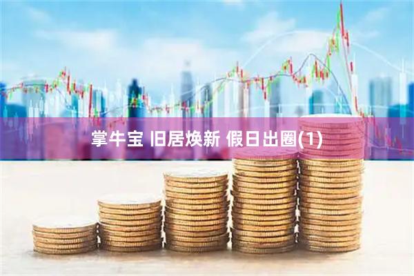掌牛宝 旧居焕新 假日出圈(1)