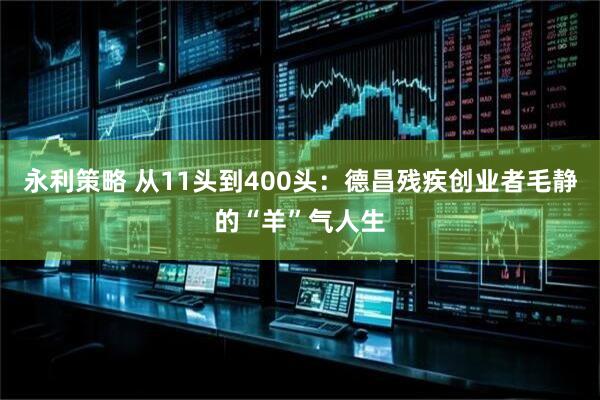 永利策略 从11头到400头：德昌残疾创业者毛静的“羊”气人生