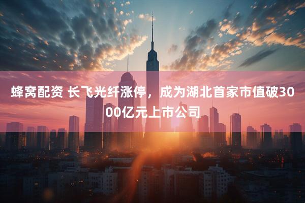 蜂窝配资 长飞光纤涨停，成为湖北首家市值破3000亿元上市公司