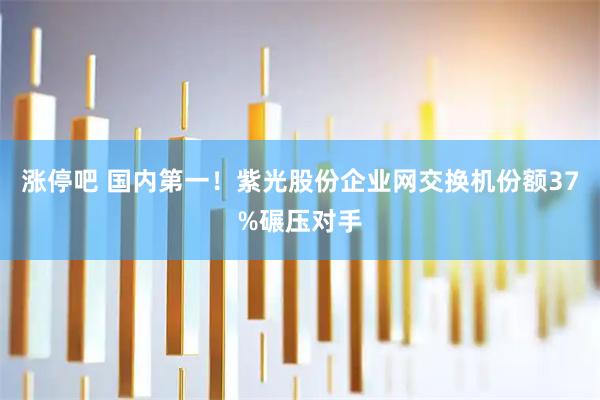 涨停吧 国内第一！紫光股份企业网交换机份额37%碾压对手
