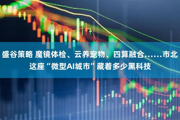 盛谷策略 魔镜体检、云养宠物、四算融合……市北这座“微型AI城市”藏着多少黑科技